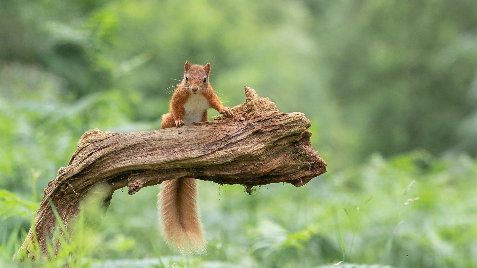 《《绝地求生》2.0新版上线，游戏体验再升华》，绝地求生新版的绝地求生