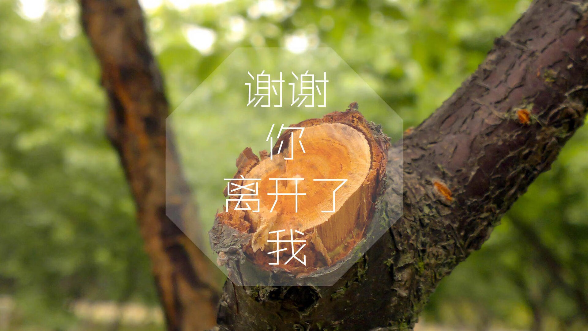 APEX英雄 线上赛观赛人数创新高,apex比赛录像