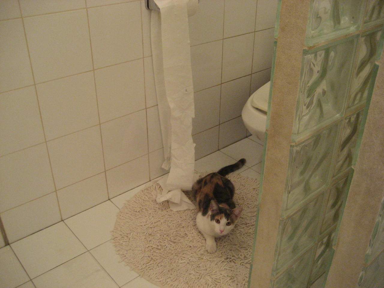 爱游戏真人体育娱乐-【博彩热潮】台球锦标赛引发竞猜狂热，台球锦标赛规则