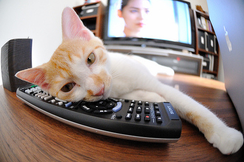 【运动员心态】战前压力释放与专注力训练秘诀