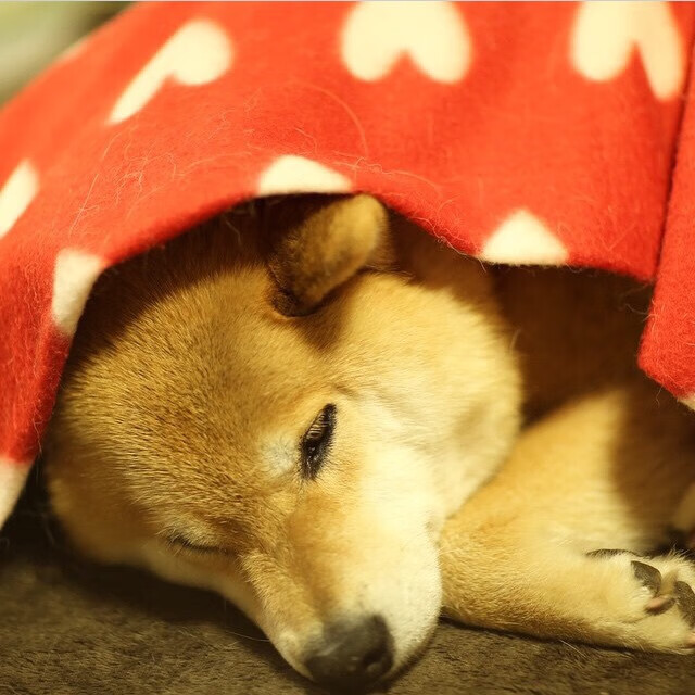 以“体育+文化+旅游”为核心的新型体育产业链日益成熟,体育旅游带动的行业