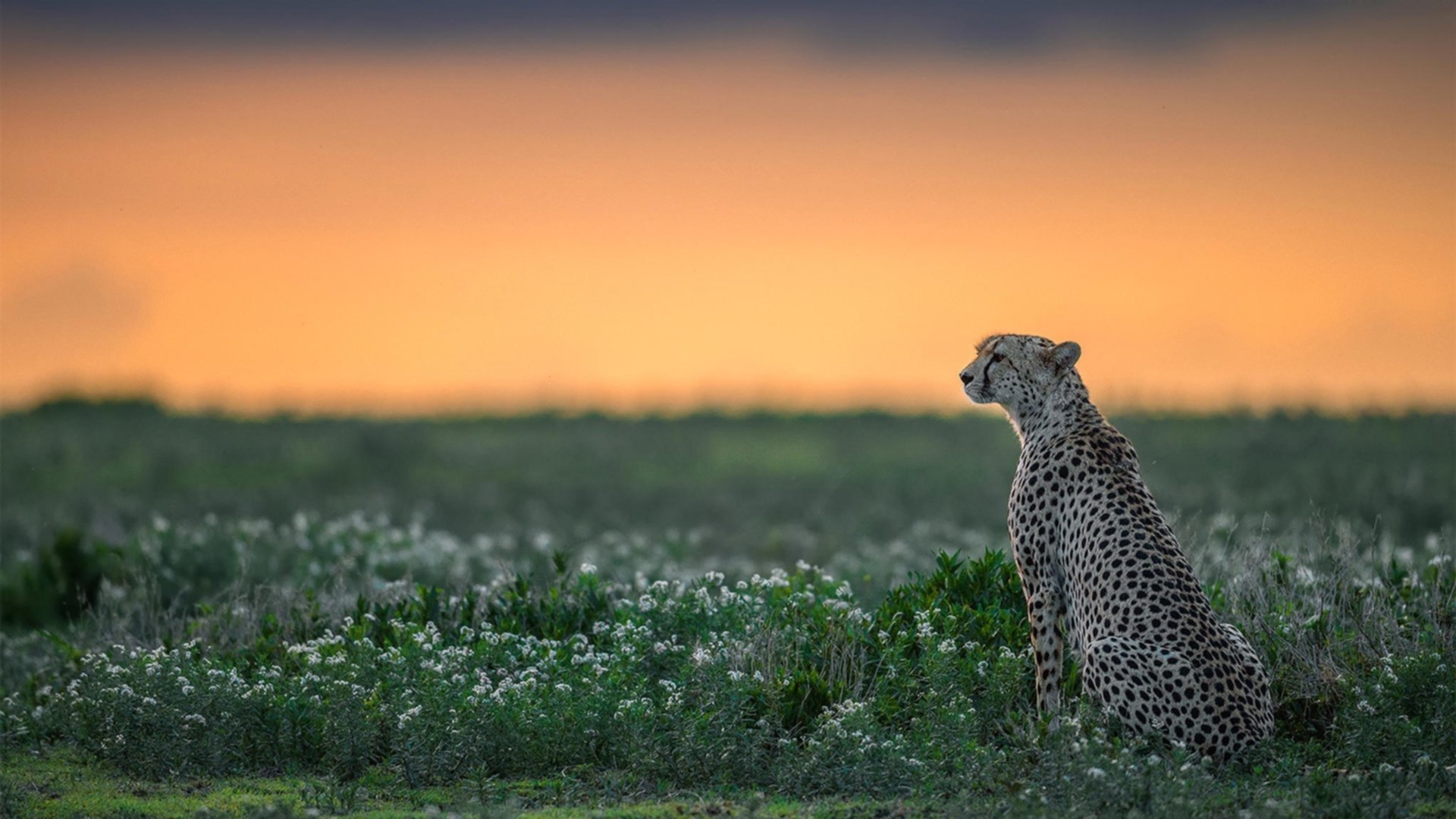 全国登山竞赛,攀登高峰的勇气考验,2021登山比赛
