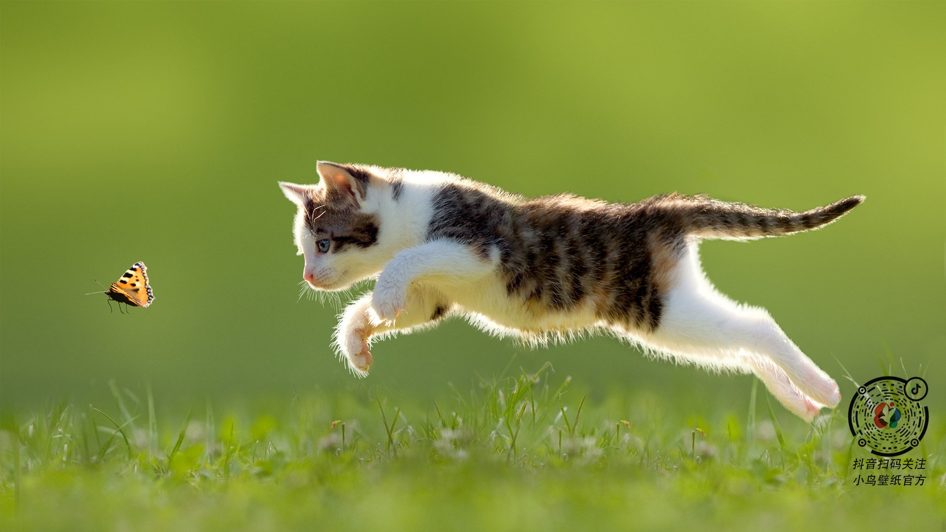 爱游戏内容中心-基层足球基础设施升级，乡村青少年足球水平明显提升，农村学校足球现状分析