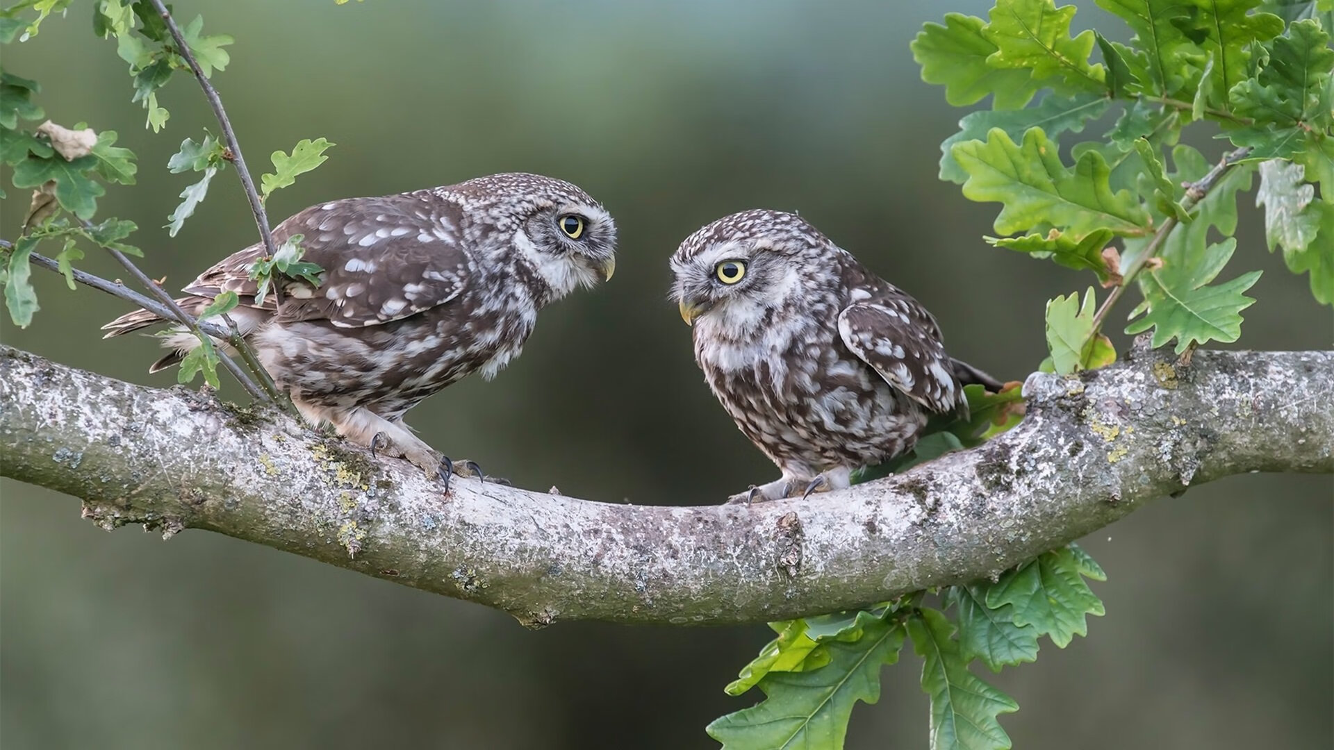 基层足球基础设施升级，乡村青少年足球水平明显提升，农村学校足球现状分析